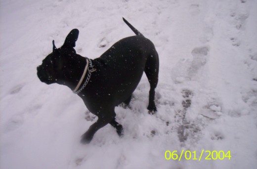 Diciembre 2009..Me lo paso pipa con la nievee!!